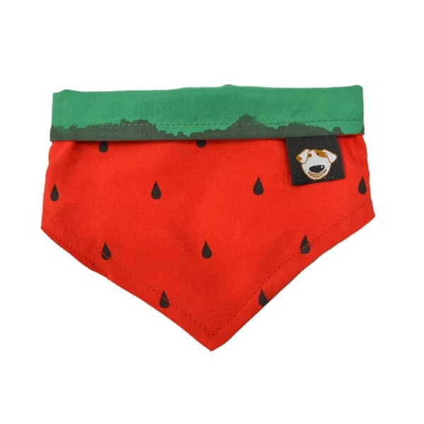 Bandana Melância Personalizada