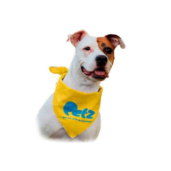 Bandana Triangular Personalizada