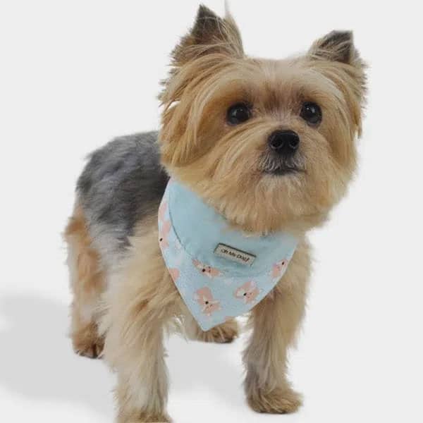 Bandana para Cachorro Raposa – Oh My Dog
