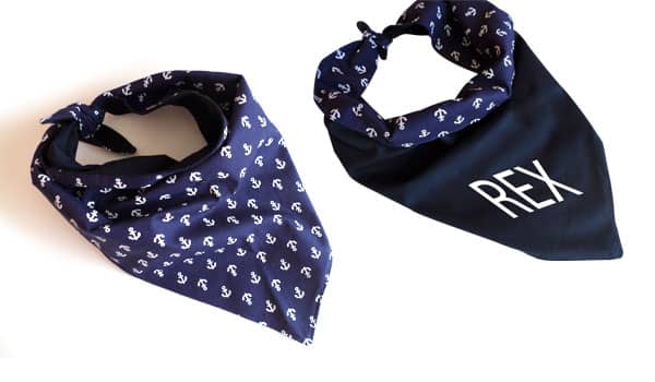 Bandana para Cachorro com Nome Bordado