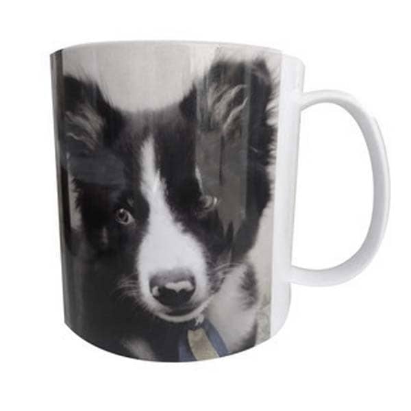 Caneca Plástica Personalizada com Foto