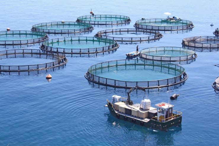 5 Brindes Que Vão Impressionar o Aquicultor