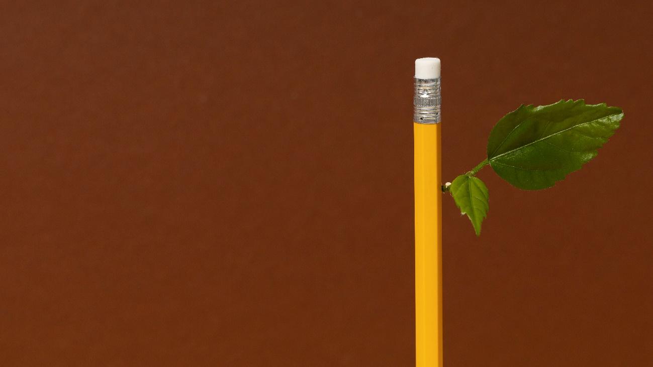 Brindes Personalizados que ‘Crescem’ com o Tempo: Produtos Evolutivos que Surpreendem